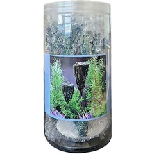 Chicos Hnrlishp Atar Kaya Yüzen Dekor S Boy 9 x 8,1 x 6,2 cm