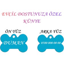 Store İsme Özel Çelik Kedi İsimlik Renk Renk İsme Özel Kedi Künyesi Kedi İsimlik Köpek İsimlik