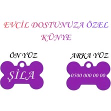 Store İsme Özel Çelik Kedi İsimlik Renk Renk İsme Özel Kedi Künyesi Kedi İsimlik Köpek İsimlik