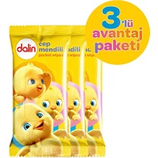 4 Adet Dalin Cep Mendili 3X15'LI