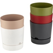 Poliwork Begonya Saksı 0,95 Lt 4 Adet