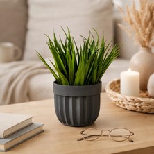 Eva Dekor Dekor Dekoratif Saksılı Yapay Çimen - Yeşil - 8 cm