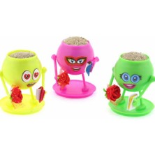 Bozkırlı Çimoli Çim Adam Karışık - 2 Adet