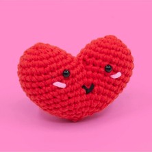 4 Adet Selfiko Örgü Başlangıç Seti - Caniko