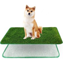 Mixpet Tekrar Kullanılabilir Köpek Tuvalet Eğitim Halısı M 46X58 cm