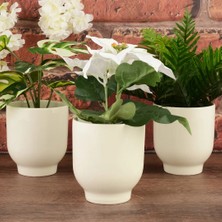 ANG Design Riva Seramik Saksı - Krem - 12X8 cm