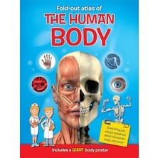 Yoyo Books My Fold Out Atlas: Human Body