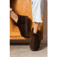 rasputin Mini Kahve Süet Içi Kürklü Kalın Taban Kadın Bot