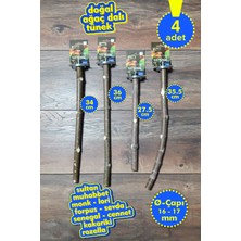 Vixpet Venty 4'lü Doğal Papağan Tünek Seti | Sultan, Monk, Lori, Konur, Senegal, Forpus, Muhabbet, Sevda, Cennet - M633