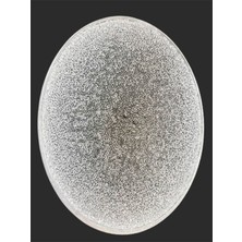 Allians 10 cm Şekerlik, Şık ve Kullanışlı Tasarım, Tatlı Sunumları Için Ideal