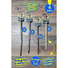 Vixpet Venty 4'lü Doğal Papağan Tünek Seti | Kumlu Tünekli | Forpus, Muhabbet, Sevda, Cennet - M634