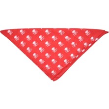 Bandana Kurukafa Desenli Kırmızı