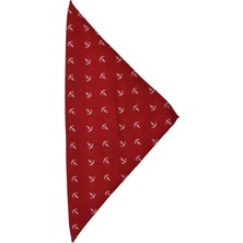 Bandana Çapa Desenli