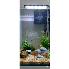 Akvaryum Dekoratif Mesaj Tabelası - 3'lü Espirili Set 7x5 cm