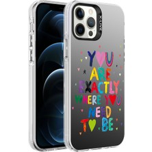 FLAMENKO Apple iPhone 12 Pro Max Kılıf Desenli Flmk Silver Sert Kapak-You