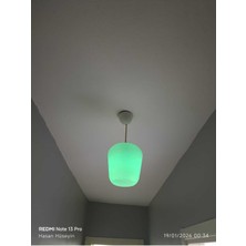 Allians Modern LED Tavan Lambası, Estetik ve Şık Tasarım, Enerji Tasarruflu