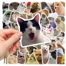 Luxen Glemax Çılgın Kediler Laptop Notebook Tablet Seti