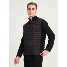 Lacoste Siyah Slim Fit Mevsimlik Mont