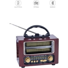 Başkenttekno Bluetooth Hoparlör Nostaljik Radyo Speaker NS02