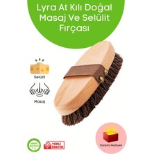 Macgon At Kılı Doğal Masaj ve Selülit Fırçası Boy 15 cm En 6 cm Kıl Uzunluğu 2 cm