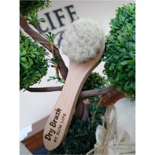 Macgon At Kılı Doğal Yüz Fırçası