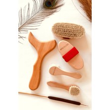 Macgon 3'lü Set Doğal At Kılı Selülit Batık Fırçası + At Kılı Yüz Fırçası + Ahşap Selülit Vücut Masaj Aleti