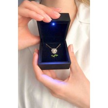 Dergavud Işıklı Kutuda Çelik Papatya Kolye