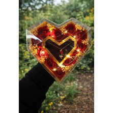 Dergavud Özel Işıklı Kalpli Kutuda 10 Adet Kırmızı Gül Çelik Kolye