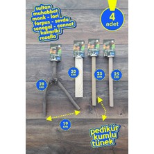Vixpet Venty 4'lü Doğal Papağan Tünek Seti | Kumlu Tünekli | Sultan, Monk, Lori, Konur, Senegal, Sevda - M638