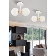 Allians Modern Beyaz ve Altın Renkli Çakra 2'li Glob Camlı Plafonyer Avize