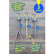 Vixpet Venty 3 Adet Doğal Papağan Tünek Seti | Kumlu Tünekli | Forpus, Muhabbet, Sevda, Cennet - M640