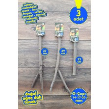 Vixpet Venty 4'lü Doğal Papağan Dal Tünek Seti | Sultan, Monk, Lori, Konur, Senegal, Sevda - M643