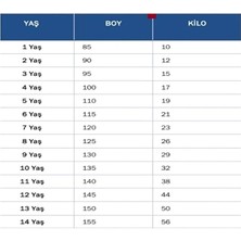 Alaturka Mix Fe.ner.bah'çe 2025/2026 Alex De Souza 10// Yeni Sezon Çubuklu 4’lü Çocuk Forması