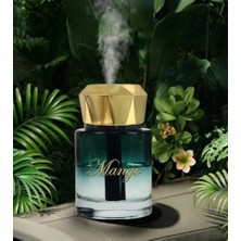 Başkenttekno Araç Içi Aroma Difüzörü Hava Nemlendirici Yıldız Tavan Işıklı Şarjlı Oda ve Araba Kokusu Sari Mango