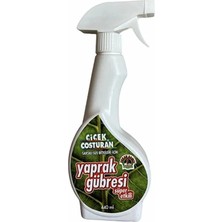 Epilons Mey Ithalat® 2700 Çiçek Costuran Yaprak Gübresi Sprey 440 ml