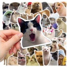 Ne Verelim Size Buğz Çılgın Kediler Macbook Notebook Tablet Telefon Ajanda Laptop Defter Sticker Seti