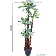 Yapay Çiçek Sitesi 4 Gövdeli Yapay Botanik Ağaç 190 cm Model 6