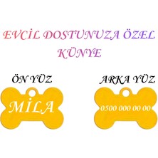 Store XL Boy isme Özel Çelik Köpek isimlik Renkli isme Özel Köpek Künyesi Köpek isimlik Kedi isimlik Tag