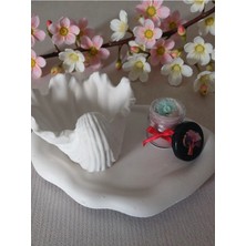 Doğal El Yapımı Istiridye Obje ve Mini Dekoratif Mum Seti - Pudra Pembe & Beyaz