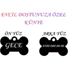 Store XL Boy isme Özel Çelik Köpek isimlik Renkli isme Özel Köpek Künyesi Köpek isimlik Kedi isimlik Tag