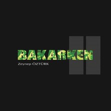 Bilfold Bakarken 2