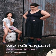 Bilfold Yaz Köpekleri