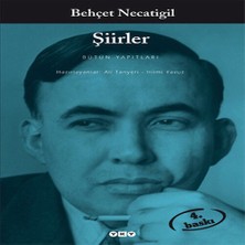 Bilfold Şiirler - Behçet Ntigil