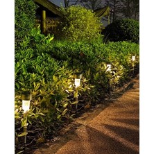 Gaman 5 Adet Metal Kasa Güneş Enerjili Dış Mekan Saplamalı Solar Aydınlatma Bahçe - Balkon Ledi