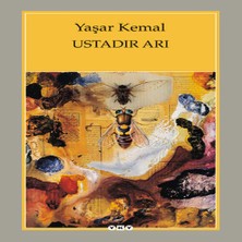 Bilfold Ustadır Arı