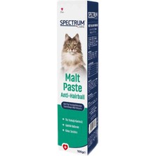 Storemax Uslucanmarketplace Spectrum Care Tüy Yumağı Önleyici Malt Paste 100 Gram