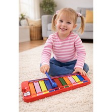 Toyfest Renkli Metal Ksilofon 11 Nota Tokmaklı Çocuklar Için Eğitici Müzik Oyuncağı