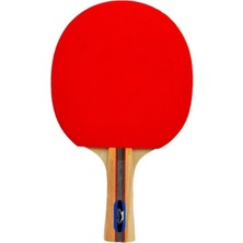 Storemax Uslucanmarketplace Avessa Slazenger Champion Ittf Onaylı Masa