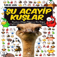 Bilfold Şu Acayip Kuşlar
