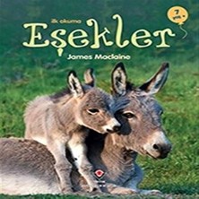Bilfold Ilk Okuma - Eşekler